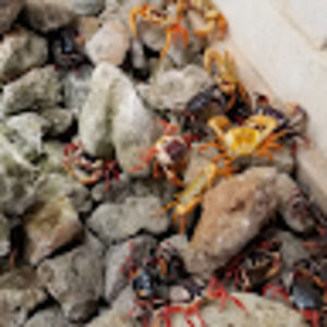 Meet your Posher, Dan